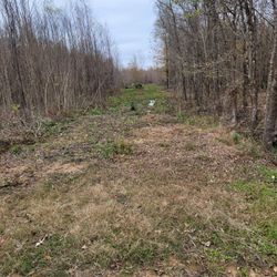 2.5  acres For Sale Or Rent 