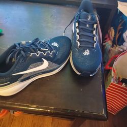 Nike- Pegasus Cowboys