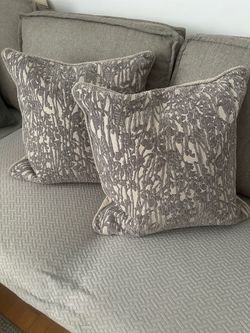 Two decorative pillows 20x20 with zipper