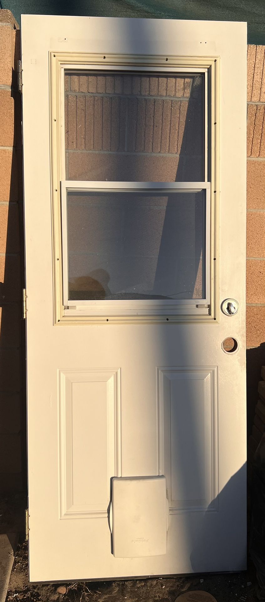 Back Door With Dog Door