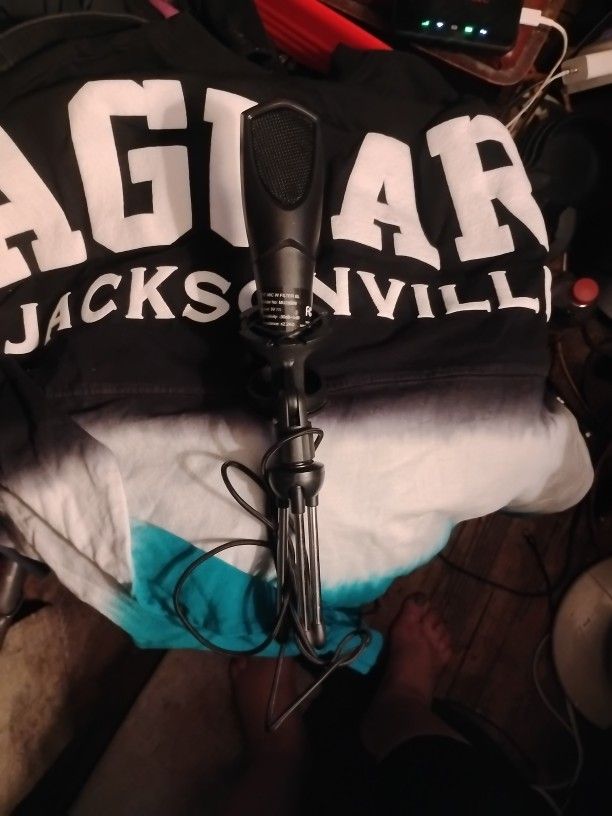 🎤