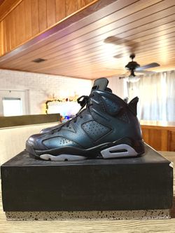 Jordan 6 “ CHAMELEON “