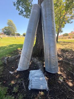 Welded Wire Mesh