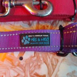 Dog Leash In Great Condition One Red The Other Purple..