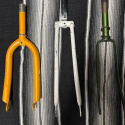 Schwinn Forks