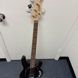 Sterling bass stingray