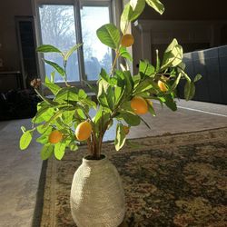 Artificial Lemon Tree