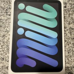 iPad Mini 7 