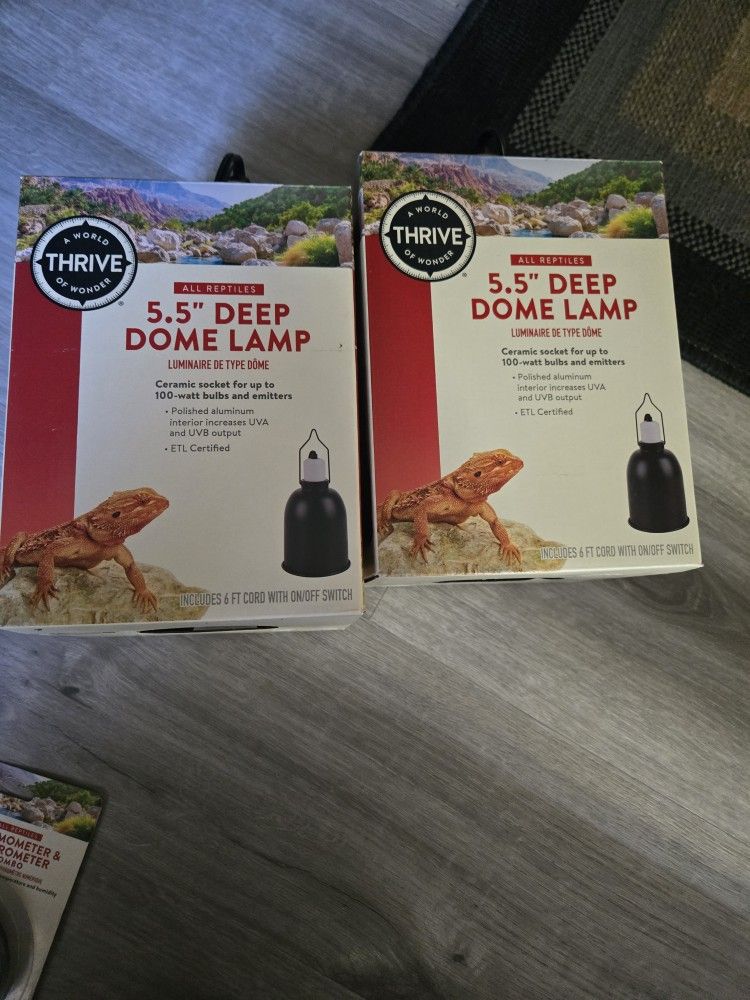 Deep Dome Light