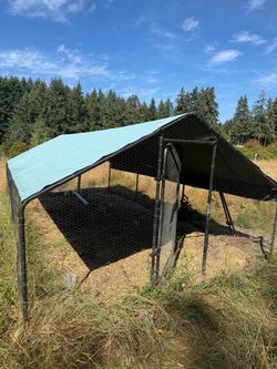 Chicken Coop