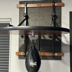 Everlast Speed Bag Assembly 