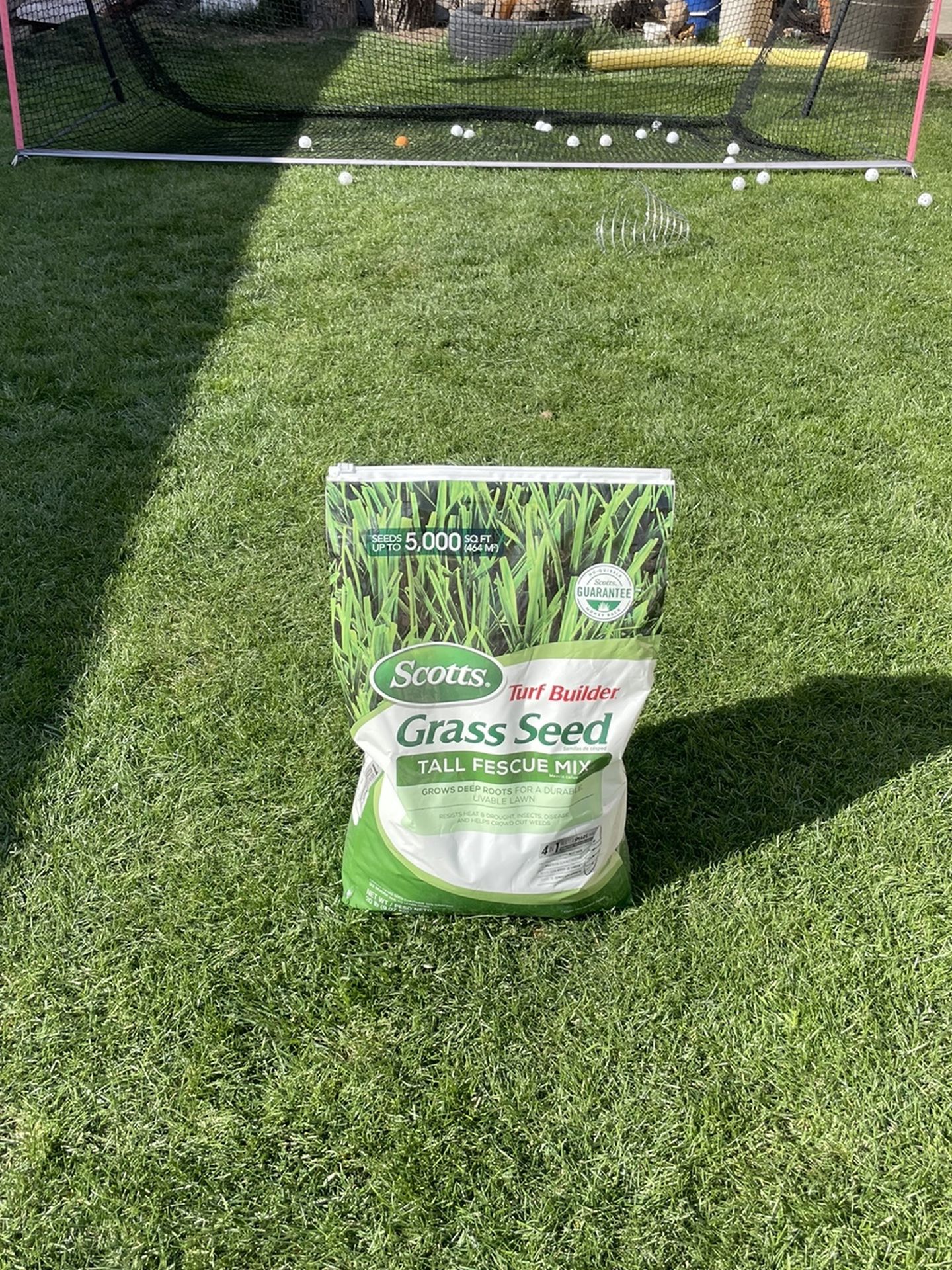 Grass Seeds