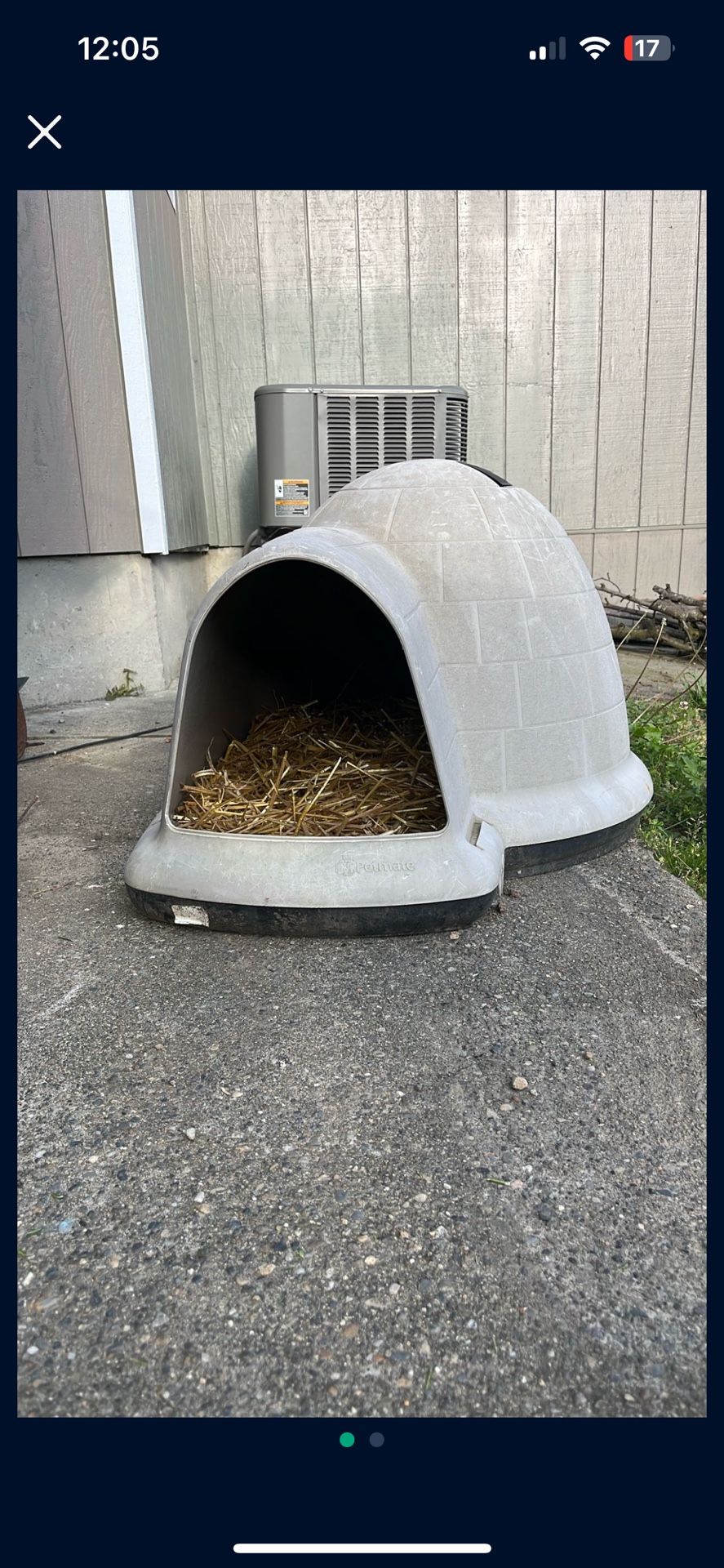 Dog House