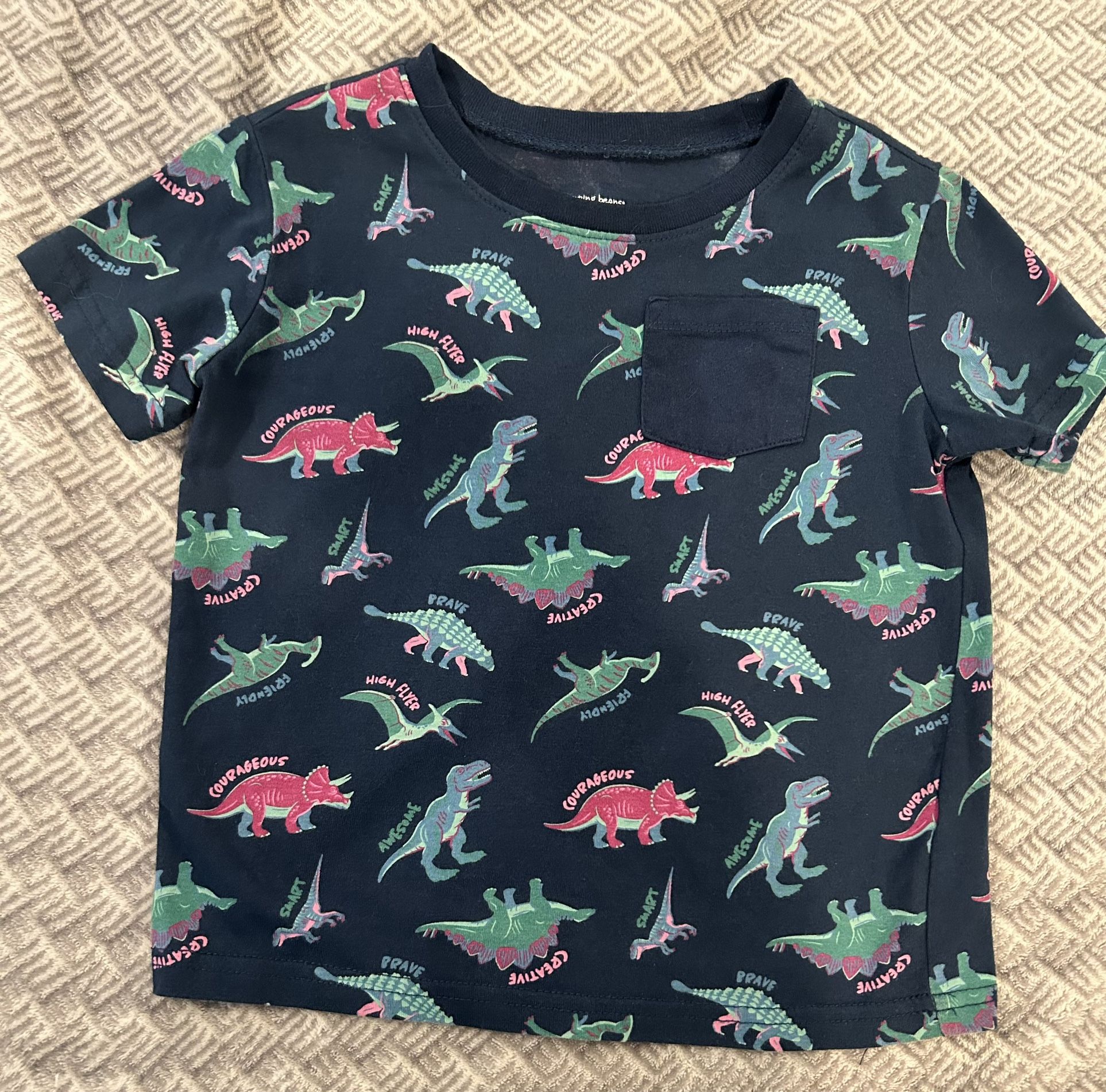 Dinosaur Shirt