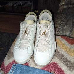 Jordan 6 Low 