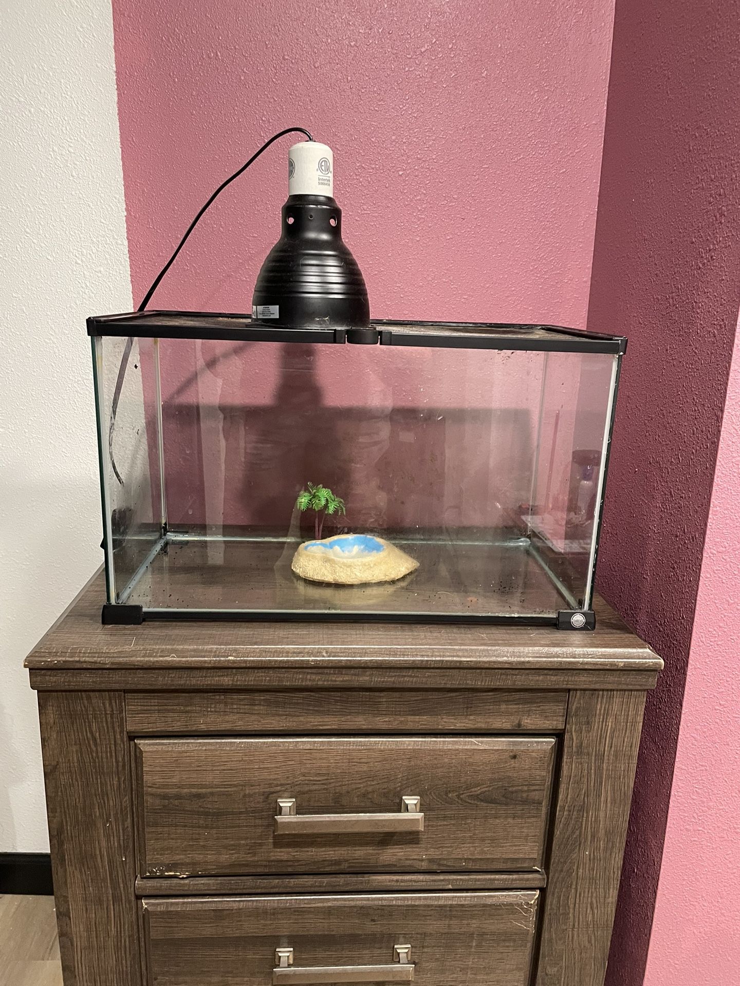 10 Gallon Reptile Tank And Light