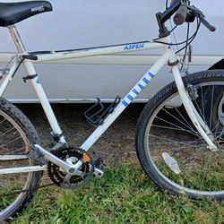 REI NOVARA ASPEN MT BIKE