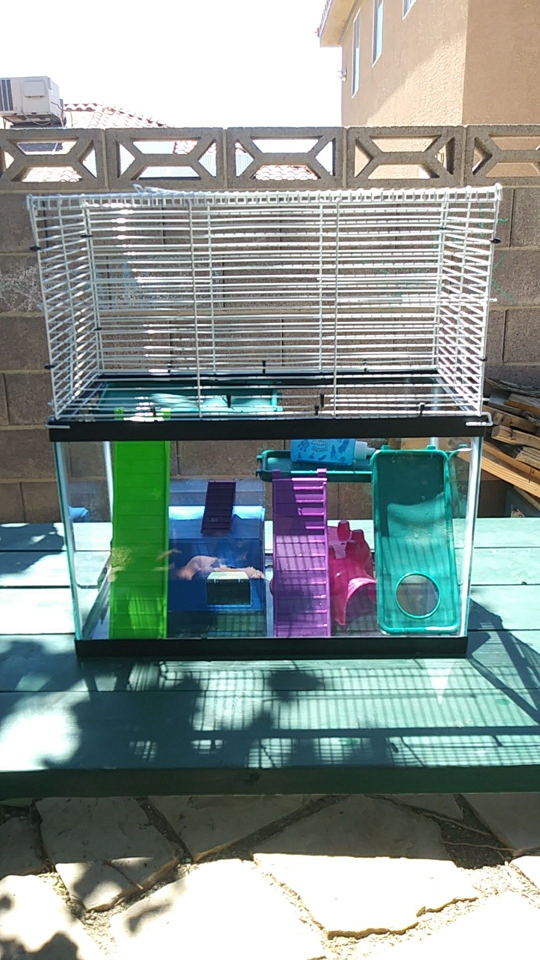 Hamster Aquarium Topper for Sale in Las Vegas, NV OfferUp