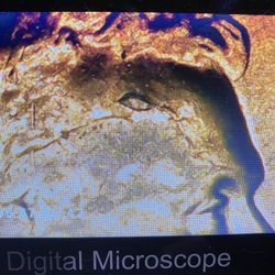 1958 Lincoln Cent Cracked Skull!!