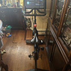 Pelaton Bike 