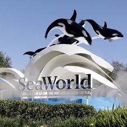 Seaworld Tickets 