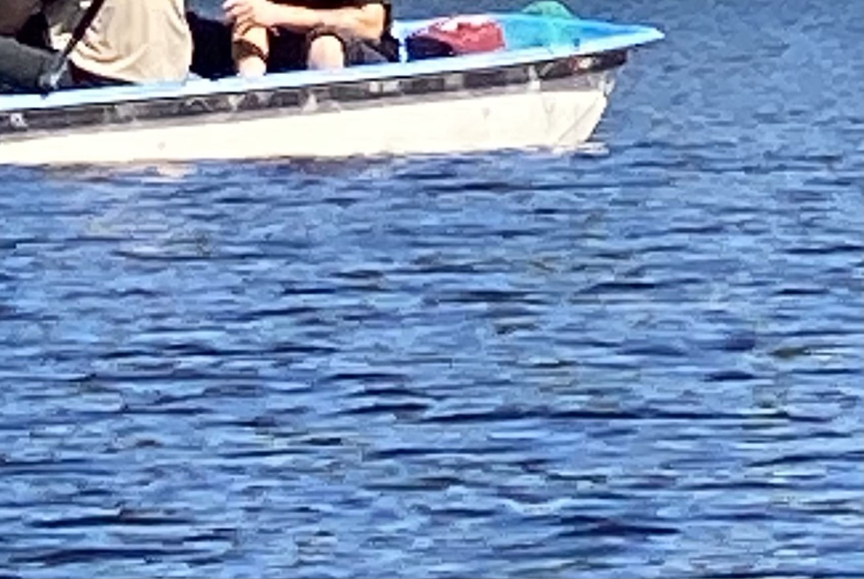 Livingston Boat Good Condition 8 Feet