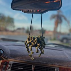 Handmade Crochet Car Plant Hanger 