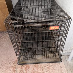 Large Dog Crate / Pet Kennel – 38” x 25”