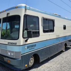 1996 Safari trek Trek