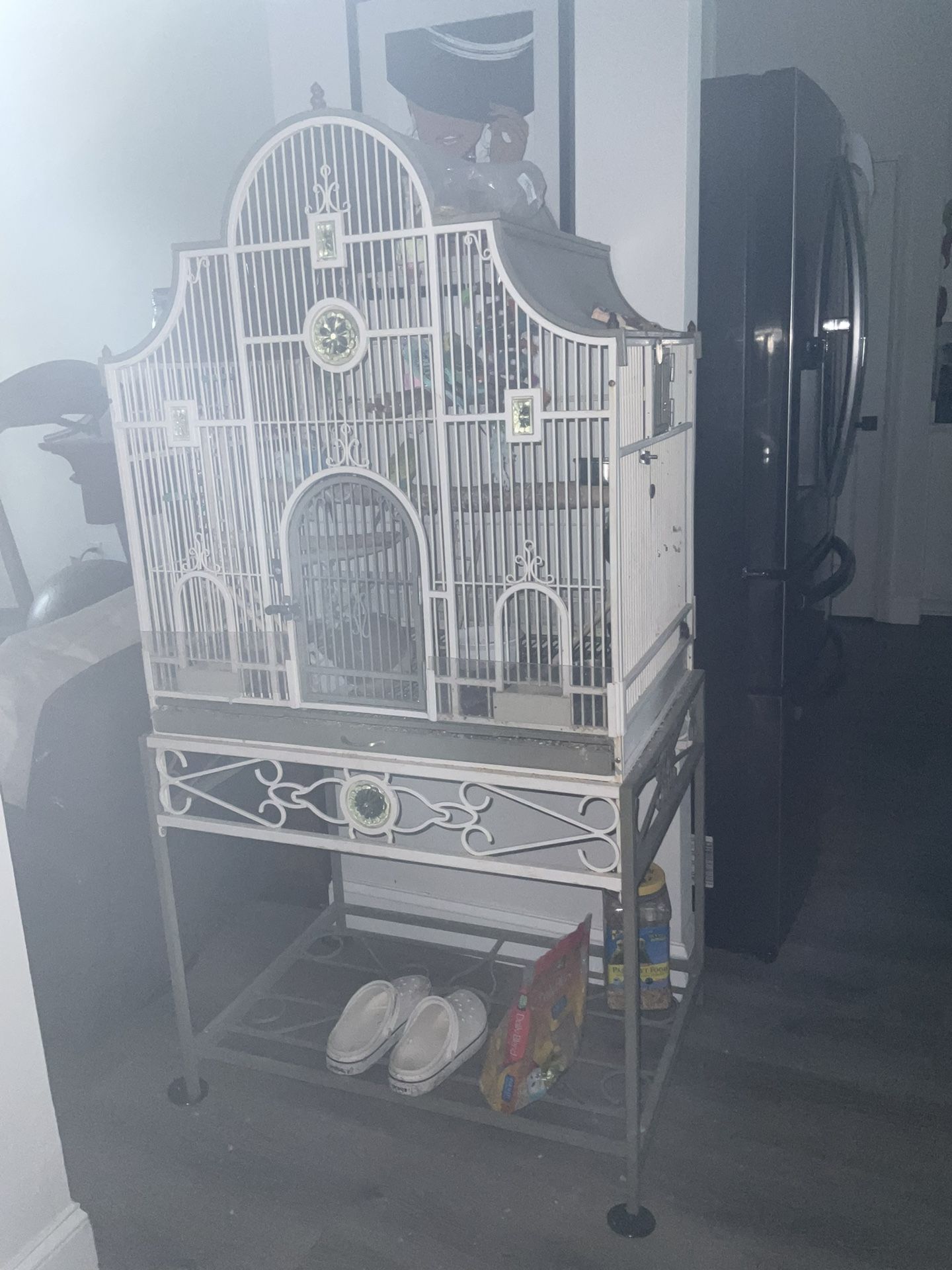 Birds Cage