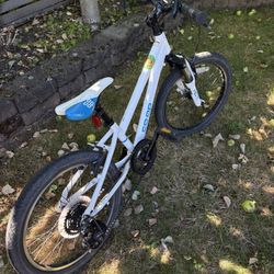 🚲 REI REV 20 6-Speed Kids' Bike