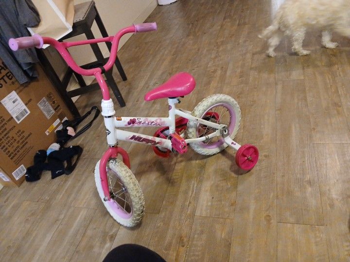 Lil Girls Bike