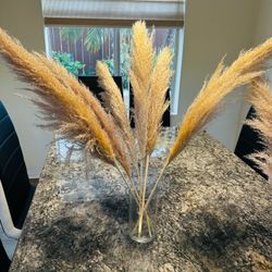 Dried Pampas Grass Bundle