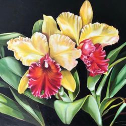 Óleo Paint Tropical Flowers