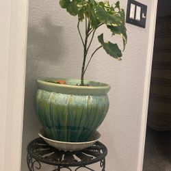 Metal Plant Stander  With Pot 