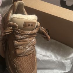 Uggs Boots