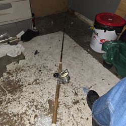 🎣 Golden Gate Vintage Rod + Garcia Mitchell 622 Reel Combo
Asking Price: $85 combo (willing to split — see below)