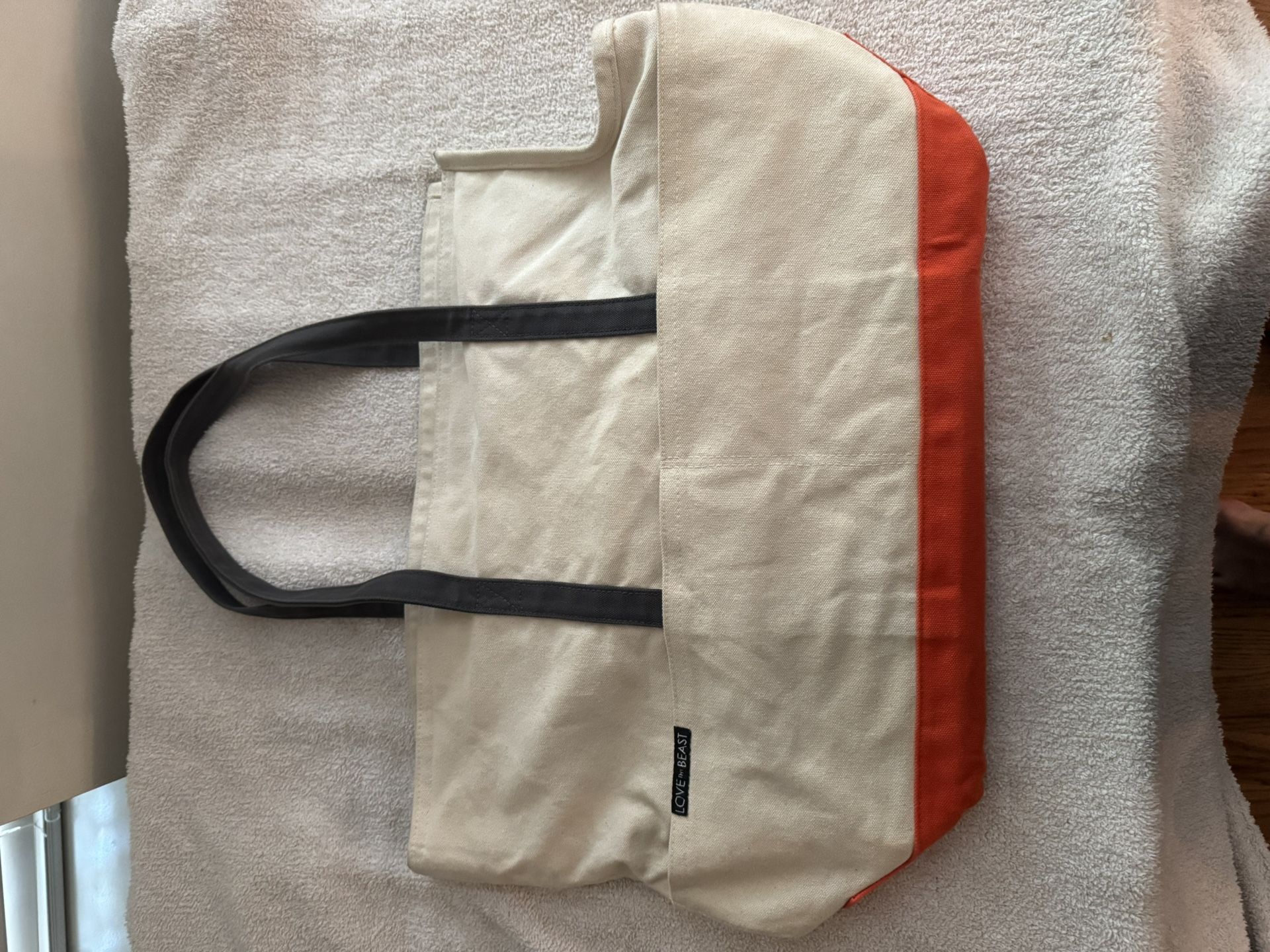 Love Thy Beast Dog Tote - Large