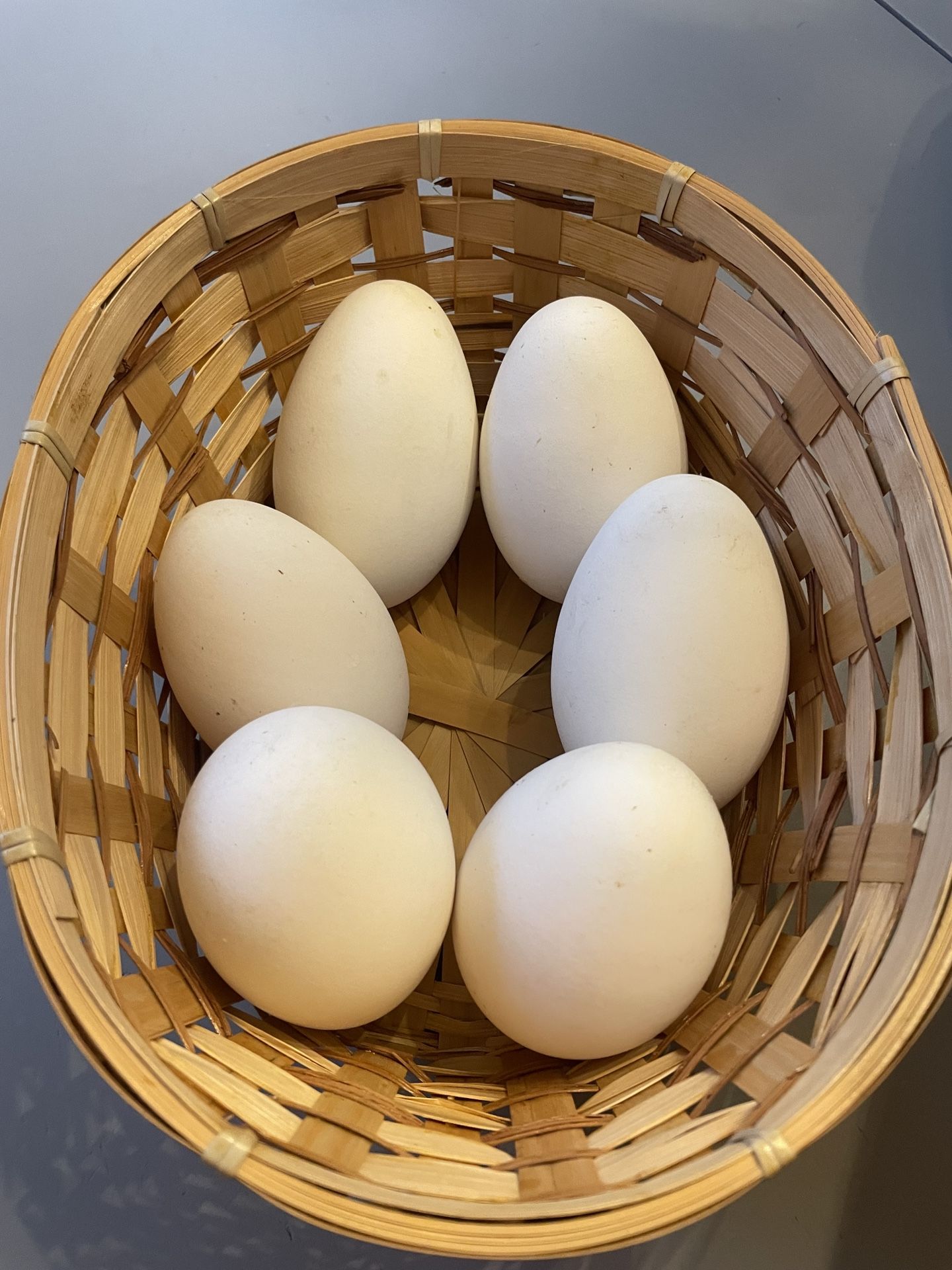 Goose Eggs $3.00 Each