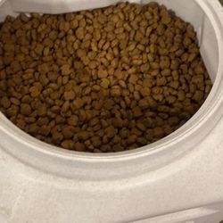 Dog Food