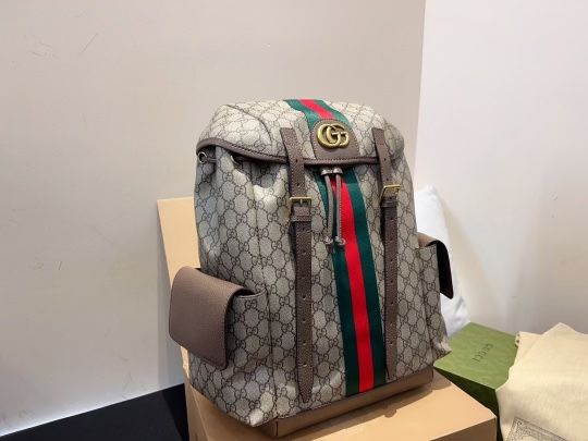 Gucci Bag