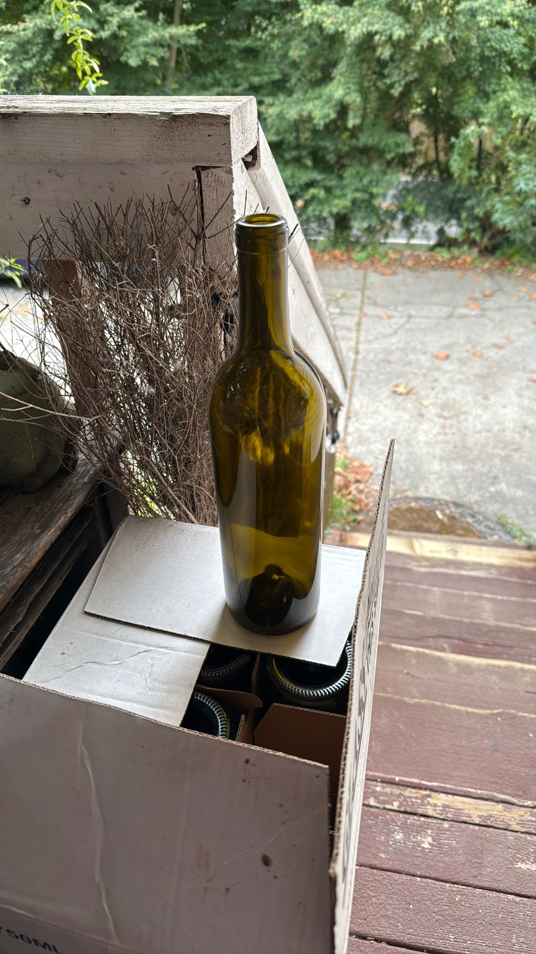 Green Wine Bottles 50ml