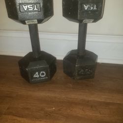 40lb  Dumbells 