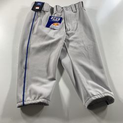 Mizuno Premier Youth X-Large Baseball Pants Short Knickers Pant Gray w Royal