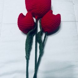 Valentines Day Flower 