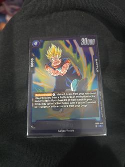 Vegito fb09-046