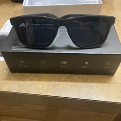 Ai Sunglasses 