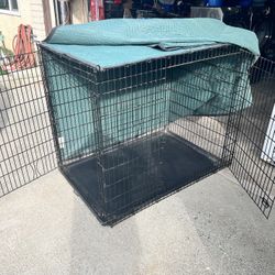 Dog Kennel