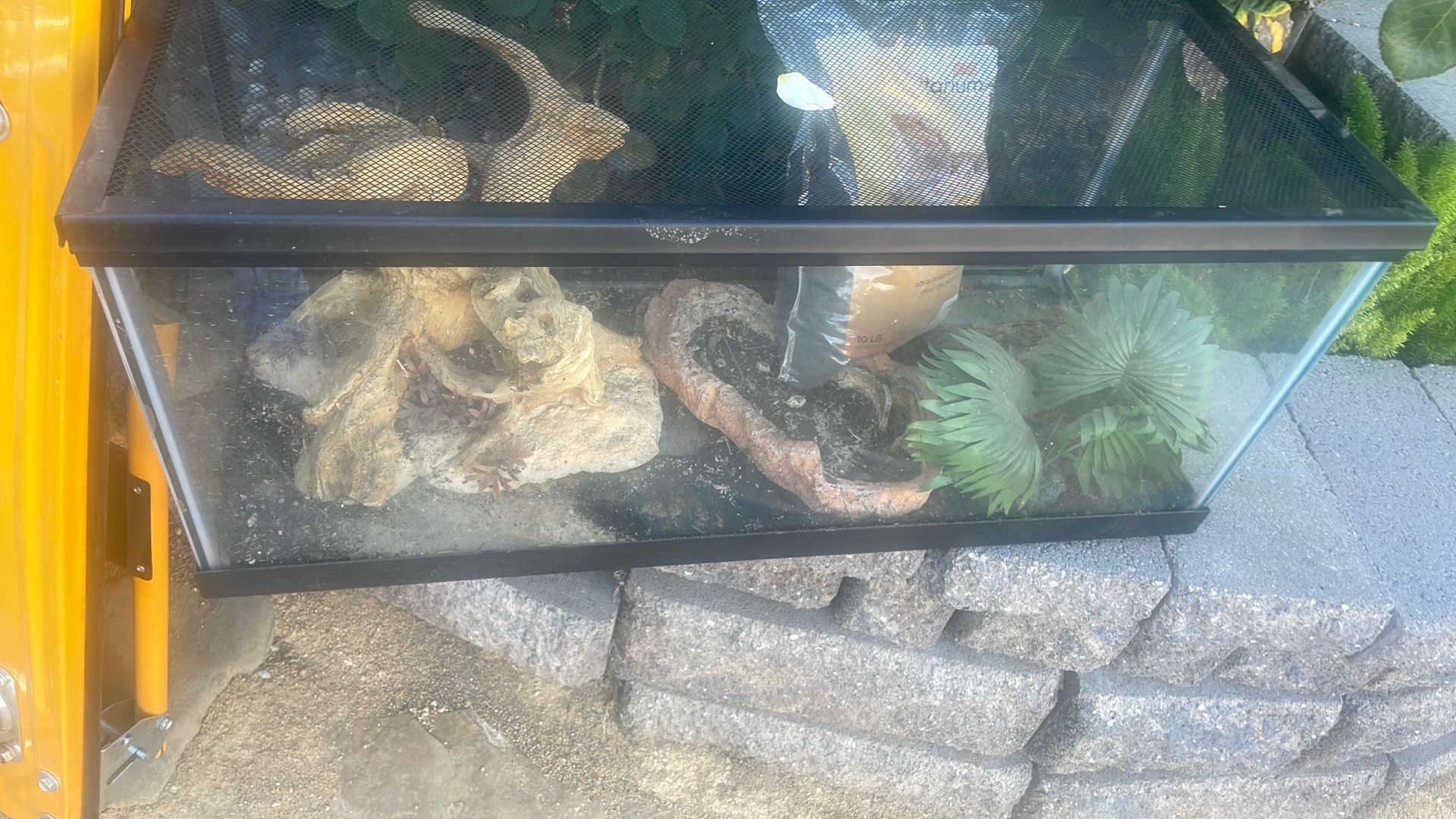Terrariums