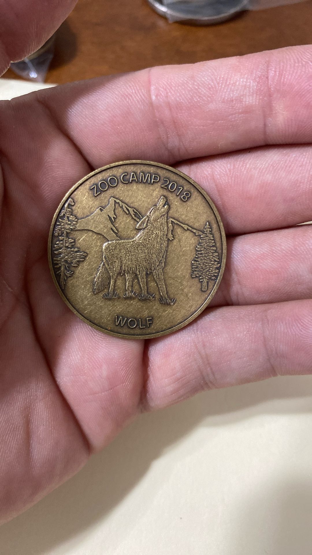 2018 Wolf Oakland Zoo Camp